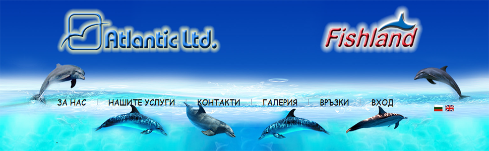 atlantic-group970x300