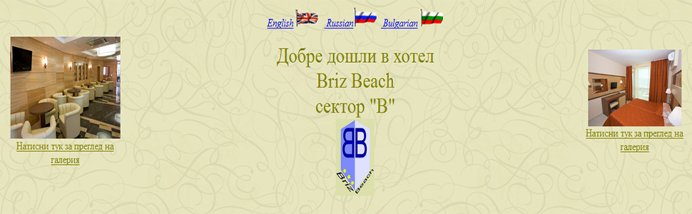 brizbeach970x300